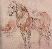 Peter Paul Rubens Horse oil